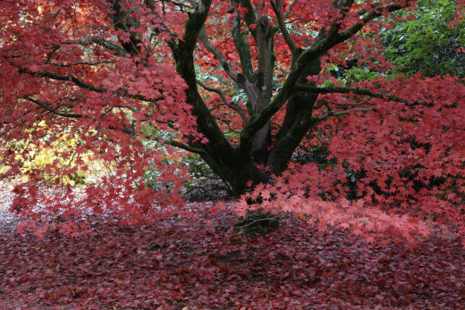 795170 (a): :1920x1280